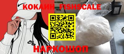 спиды Гай