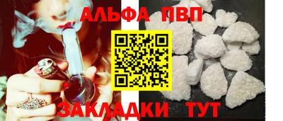 спиды Гай