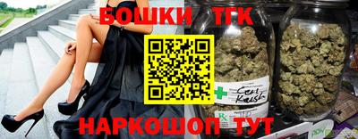 спиды Гай