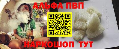 спиды Гай