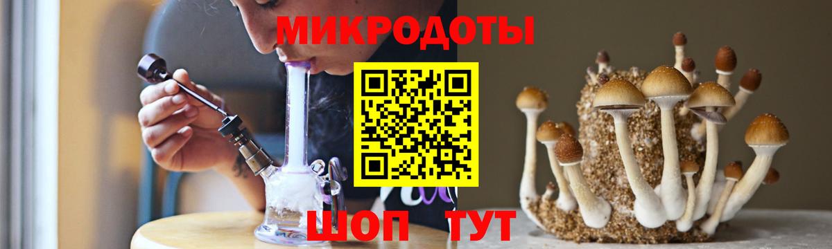 Прохладный  Псилоцибиновые грибы MAGIC MUSHROOMS  Вход с VPN 