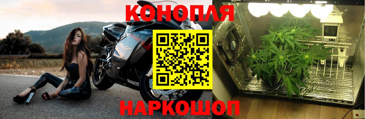 Шишки марихуана THC 21% Прохладный